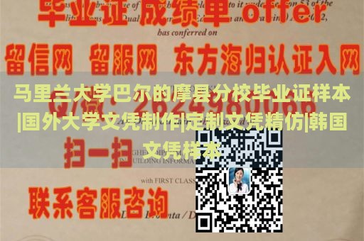 马里兰大学巴尔的摩县分校毕业证样本 | 国外大学文凭制作 | 定制文凭精仿 | 韩国文凭样本