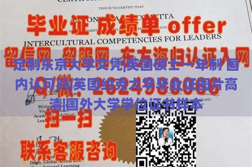 定制东京大学文凭|英国硕士一年制 国内认可吗|英国约克大学毕业证图片高清|国外大学学位证书样本