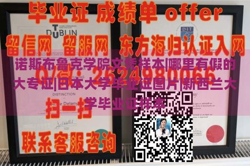 诺斯布鲁克学院文凭样本|哪里有假的大专证|日本大学毕业证图片|新西兰大学毕业证样本