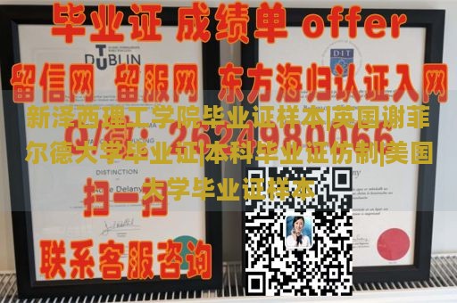 新泽西理工学院毕业证样本|英国谢菲尔德大学毕业证|本科毕业证仿制|美国大学毕业证样本