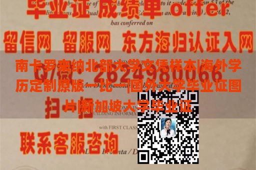 南卡罗来纳北部大学文凭样本|海外学历定制原版一比一|国外大学毕业证图片|新加坡大学毕业证