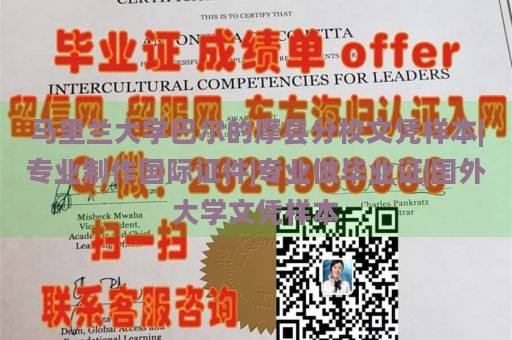 马里兰大学巴尔的摩县分校文凭样本|专业制作国际证件|专业做毕业证|国外大学文凭样本