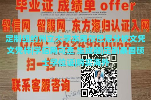 定制纽约州立大学本奥尔巴尼分校文凭文凭样|学信网可查 生成器|定制泰国硕士学位证|购买海外